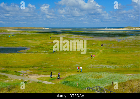 Naturschutzgebiet De Slufter, Blick vom Gesichtspunkt, Insel Texel, Niederlande Stockfoto