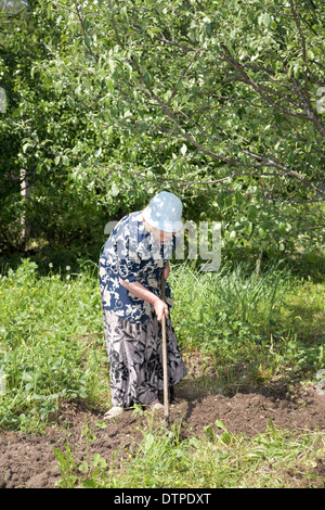 alte Frau arbeitet in einem Garten Stockfoto