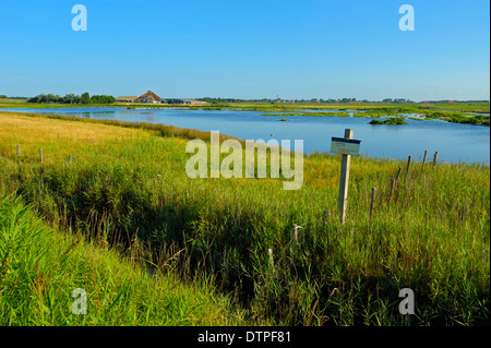 Naturschutzgebiet De Petten, in der Nähe von Den Hoorn, Insel Texel Stockfoto