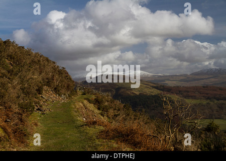 Ein Blick von der neuen Abgrund Walk über den Mawddach Mündung nahe Ortszentrum, Gwynedd, Wales Stockfoto