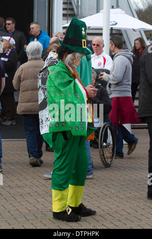 Twickenham UK. 22. Februar 2014. Englisch und Irisch-Fans versammelt in ihrer traditionellen Landesfarben vor 6 Nationen Rugbyspiel zwischen England und Irland im Twickenham Stadion Credit: Amer Ghazzal/Alamy Live-Nachrichten Stockfoto