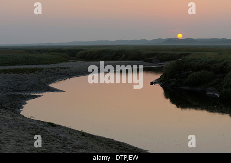 Tideway, Naturschutzgebiet De Slufter, Insel Texel, Niederlande Stockfoto