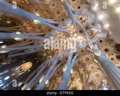 Innenraum der Kathedrale Gaudis "Sagrada Familia" in Barcelona, Spanien. Stockfoto