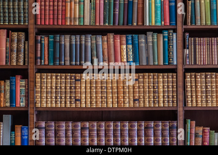 Alte antike Bücher in Regalen Stockfoto