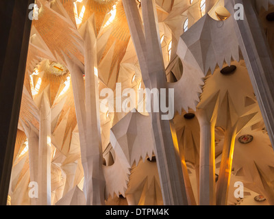 Innenraum der Kathedrale Gaudis "Sagrada Familia" in Barcelona, Spanien. Stockfoto