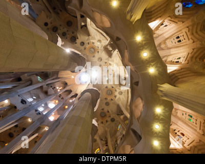 Innenraum der Kathedrale Gaudis "Sagrada Familia" in Barcelona, Spanien. Stockfoto