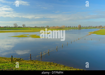 Überschwemmten Wiesen, Niederrhein, Schenkenschanz, North Rhine-Westphalia, Deutschland Stockfoto