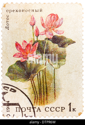 gedruckt in der UdSSR (CCCP, Sowjetunion) Stempel zeigt Bild des lotus Stockfoto