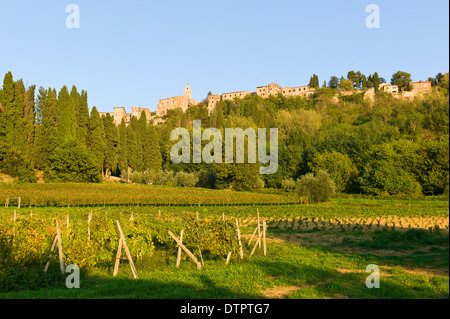 Weinberge unterhalb der toskanischen Hügel Stadt Montepulciano, Toskana, Italien Stockfoto