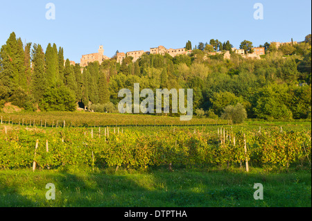 Weinberge unterhalb der toskanischen Hügel Stadt Montepulciano, Toskana, Italien Stockfoto