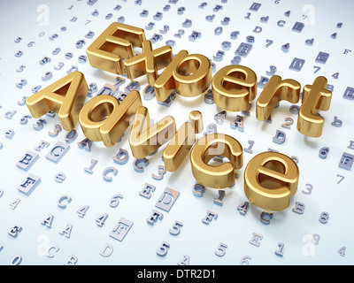 Begriff: Golden Rat der Experten auf digitalen Hintergrund Stockfoto