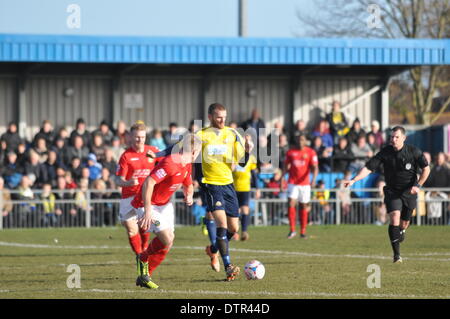Gosport Borough V Havant & Waterlooville, Semi-Finale, FA Trophy, 22. Februar 2014 (c) Paul Gordon, Alamy Live News Stockfoto