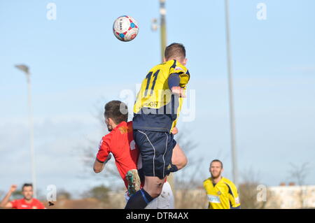 Gosport, UIK. 22. Februar 2014. Gosport Borough V Havant & Waterlooville, Semi-Finale, FA Trophy, 22. Februar 2014 (c) Paul Gordon, Alamy Live News Stockfoto
