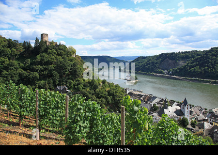 Deutschland, Rheinland-Pfalz, Rheintal, Kaub, Burg Gutenfels UNESCO-Welterbe Stockfoto