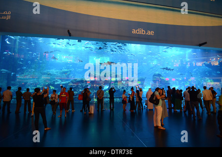 Dubai Aquarium in Dubai Mall, Vereinigte Arabische Emirate. Stockfoto