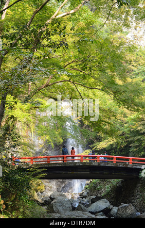 Minoh verliebt sich in Minoh Park in der Nähe von Osaka in Japan. Stockfoto