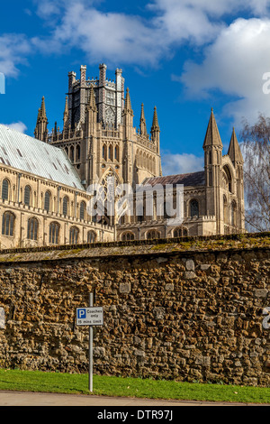 Ely Kathedrale Mittelschiff, Achteck und südlichen Querschiff, Ely, Cambridgeshire, England Stockfoto