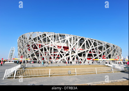 Nest des Vogels, Beijing National Stadium Stockfoto