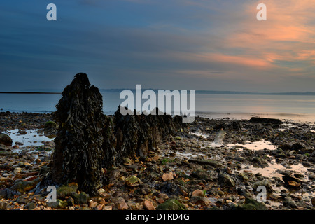 Sonnenuntergang und eingehende Tise in Lepe Country Park an der Südküste in Hampshire Stockfoto