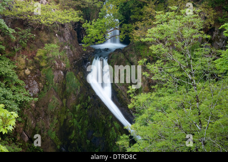 Ceunant Mawr Wasserfall oder Llanberis fällt, die Wasserfall-Station auf der Snowdon Mountain Railway Line, Snowdonia, Nordwales. Stockfoto