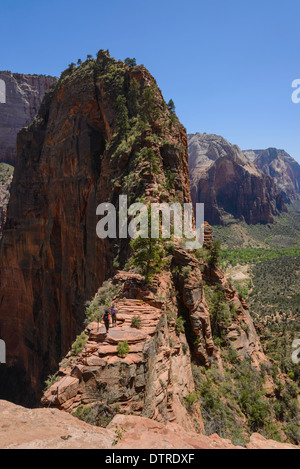 Trail zu Angels Landing, Zion Nationalpark, Utah, USA Stockfoto