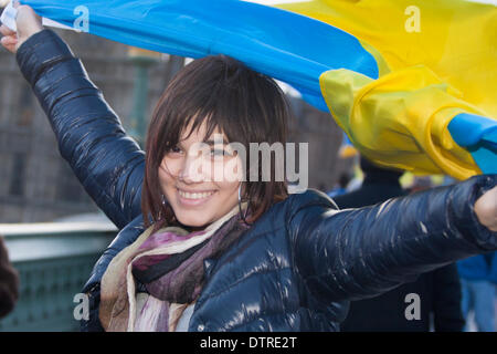 London, UK. 23. Februar 2014. Hunderte von Ukrainer bildeten eine Menschenkette auf Westminster Bridge, die Entfernung von der Macht des Regimes Janukowitsch zu feiern und zu trauern, die Noten während der Kiew-Aufstand in der vergangenen Woche getötet. Bildnachweis: Paul Davey/Alamy Live-Nachrichten Stockfoto