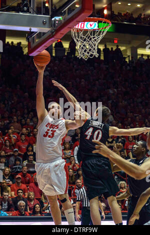 22. Februar 2014: New Mexico Lobos Zentrum Alex Kirk #53 in Aktion während der zweiten Hälfte des NCAA-Basketball-Spiel zwischen San Diego State Aztecs und Universität New Mexico Lobos an der Grube in Albuquerque, New Mexico. Lobos besiegten die Azteken 58-44. Kredit Bildmedien © Lou Novick/Cal Sport Stockfoto
