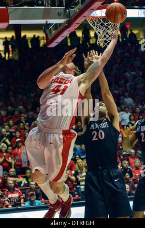 22. Februar 2014: New Mexico Lobos weiterleiten Cameron Bairstow #41 in Aktion während der zweiten Hälfte von der NCAA Basketball-Spiel zwischen San Diego State Aztecs und Universität New Mexico Lobos an der Grube in Albuquerque, New Mexico. Lobos besiegten die Azteken 58-44. Kredit Bildmedien © Lou Novick/Cal Sport Stockfoto