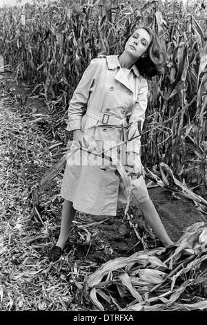 60er Jahre Mode-Modell mit Regenmantel posiert in einem Maisfeld Stockfoto