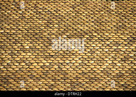 Nahaufnahme auf das Goldene Dachl, ein Wahrzeichen in Innsbruck, Österreich. Stockfoto