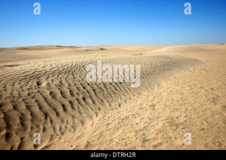 Wüste Dünen der Sahara am Tor zur Sahara in der Nähe der Stadt Douz. Stockfoto