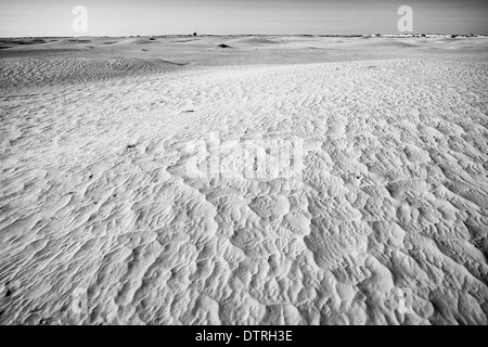 Dünen der Wüste der Sahara vor den Toren der Sahara in der Nähe der Stadt Douz. Stockfoto