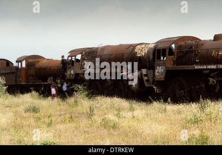 Schrottplatz britischer Dampflokomotiven bei Woodhams Yard in Barry South Wales Juli 1981 Großbritannien 1980er JAHRE BILD VON DAVID BAGNALL Stockfoto