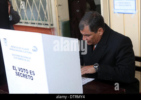 Quito, Ecuador. 23. Februar 2014. Ecuadors Präsident Rafael Correa wirft seinen Stimmzettel in der San Francisco Schule während der provinziellen und städtischen Wahlen in der Stadt von Quito, Hauptstadt von Ecuador, am 23. Februar 2014. Einige 11,6 Millionen Wählern landesweit wurden für 23 provinziellen Präfekten, 221 Bürgermeister, 867 Stadträte, 438 ländlichen Stadträte und 4.079 Nachbarschaft Board Sprecher an Wahlen teilnehmen. Bildnachweis: Santiago Armas/Xinhua/Alamy Live-Nachrichten Stockfoto