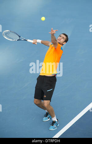 Delray, Florida, USA. 23. Februar 2014. MARIN CILIC (CRO) in Aktion in seinem Match gegen Kevin Anderson (RSA) in ihrer Männer-Einzel-Finale match heute. Cibulkova und Anderson die ersten beiden Sätze aufgeteilt. Fotograf Andrew Patron/spicken Photo.2014 ATP 250 Tennis - Delray Beach Open durch das Venetian Las Vegas - Tag 7 - Finale - Sonntag 23. - Februar 2014 - Delray Beach Stadion & Tennis Center - Delray Beach - Florida - USA. © spicken Bilder Credit: Andrew Patron/ZUMAPRESS.com/Alamy Live-Nachrichten Stockfoto