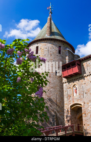 Castle Coch, Cardiff, Wales, Großbritannien Stockfoto