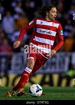 Valencia, Spanien. 23. Februar 2014. Manuel Iturra von Granada CF in Aktion während der La Liga-Spiel zwischen Valencia und Granada im Mestalla-Stadion, Valencia-Credit: Action Plus Sport/Alamy Live News Stockfoto