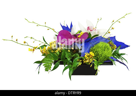 Blumenstrauß Gesteck isoliert Orchideen Vase Lilien schwarz lila Rosen Natur weiße Nelke Hintergrund schön Geburtstag Stockfoto