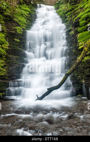 Der Wasserfall von Water-Break-its-Neck in der Nähe von New Radnor in Powys, Wales, Großbritannien Stockfoto