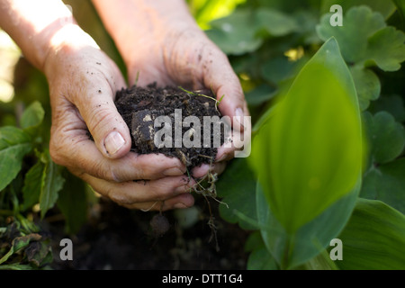 Nahaufnahme Bild alte Frau mit Handvoll Erde im Garten Stockfoto