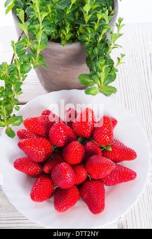 Erdbeeren und Pfefferminz Stockfoto