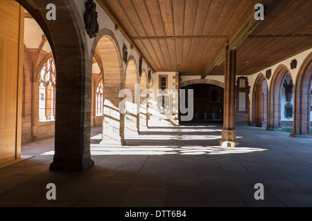 Basel Cathedral, gröberen Kreuzgang, Münster, Basel, Schweiz, Europa Stockfoto