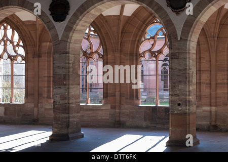 Basel Cathedral, gröberen Kreuzgang, Münster, Basel, Schweiz, Europa Stockfoto