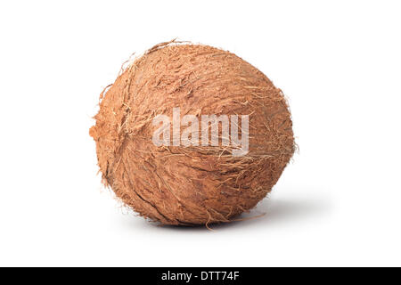 Kokosnuss auf dem weißen Hintergrund isoliert Stockfoto
