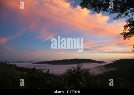 Orange gefärbten Wolken bei Sonnenaufgang über Warrell Creek mit niedrigen Nebel im Tal, nahe Macksville, NSW, Australien Stockfoto