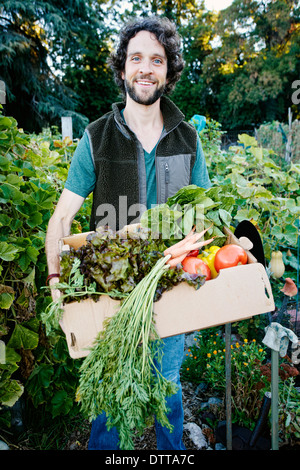 Kaukasischen Mann Ernte Gemüse im Garten Stockfoto