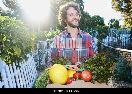 Kaukasischen Mann Ernte Gemüse im Garten Stockfoto