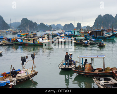 Angelboote/Fischerboote im Hafen von Hon Gai am Ende der Ha Long Bay, Provinz Quang Ninh, Vietnam Stockfoto