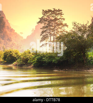Dschungel in Vietnam Stockfoto