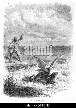 Oriental Falknerei Falconer Falcon hawking Gamehawking Hawk Jagd Jäger jagen Stockfoto